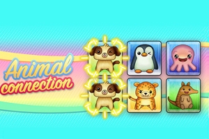 Animal Connection Animal Connection