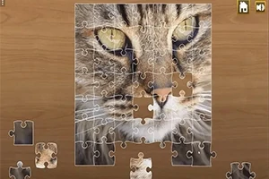 Jigsaw Puzzle Classic