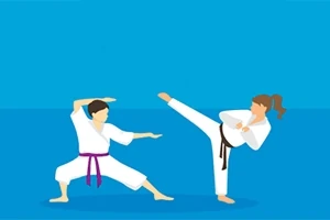 Karate King Karate King