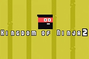 Kingdom of Ninja 2