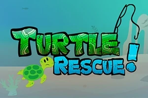 Turtle Rescue!